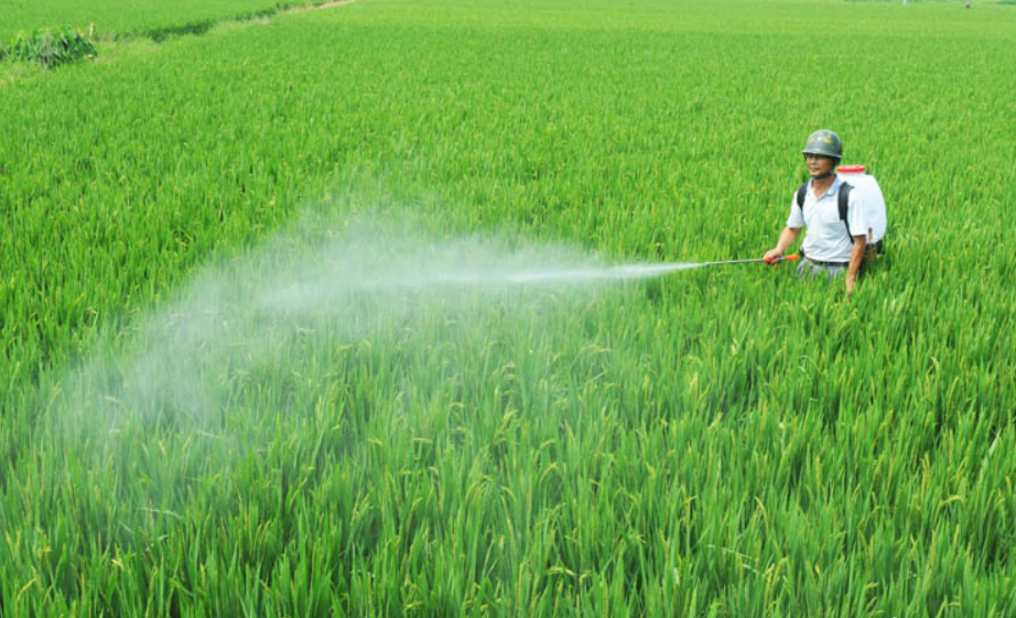 農(nóng)藥，是指農(nóng)業(yè)上用于防治病蟲害及調(diào)節(jié)植物生長的化學(xué)藥劑。